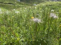 Grossglockner_00029