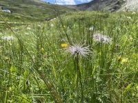 Grossglockner_00030