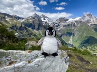 Grossglockner_00033
