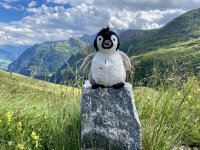 Grossglockner_00086