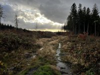 Oberlausitzer_Bergweg_03