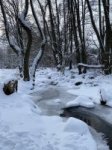 Schächerbachtour bei Homberg (Ohm) im Winter